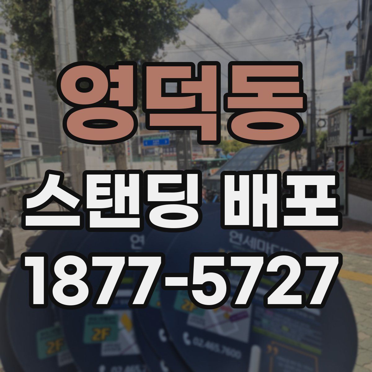 영덕동 스탠딩 배포