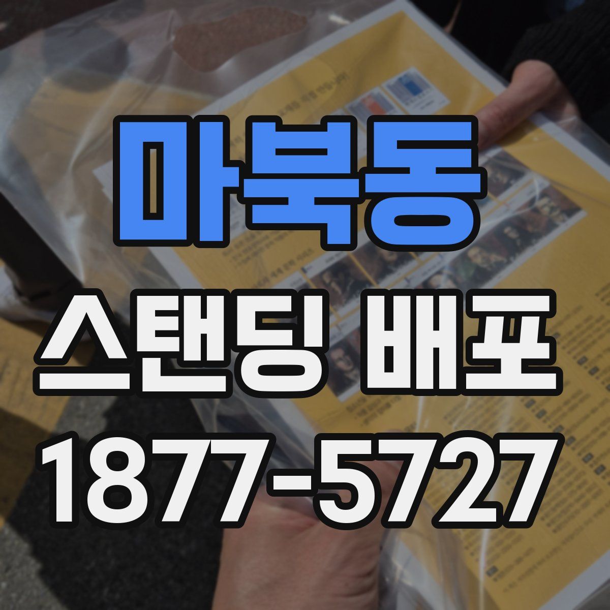 마북동 스탠딩 배포