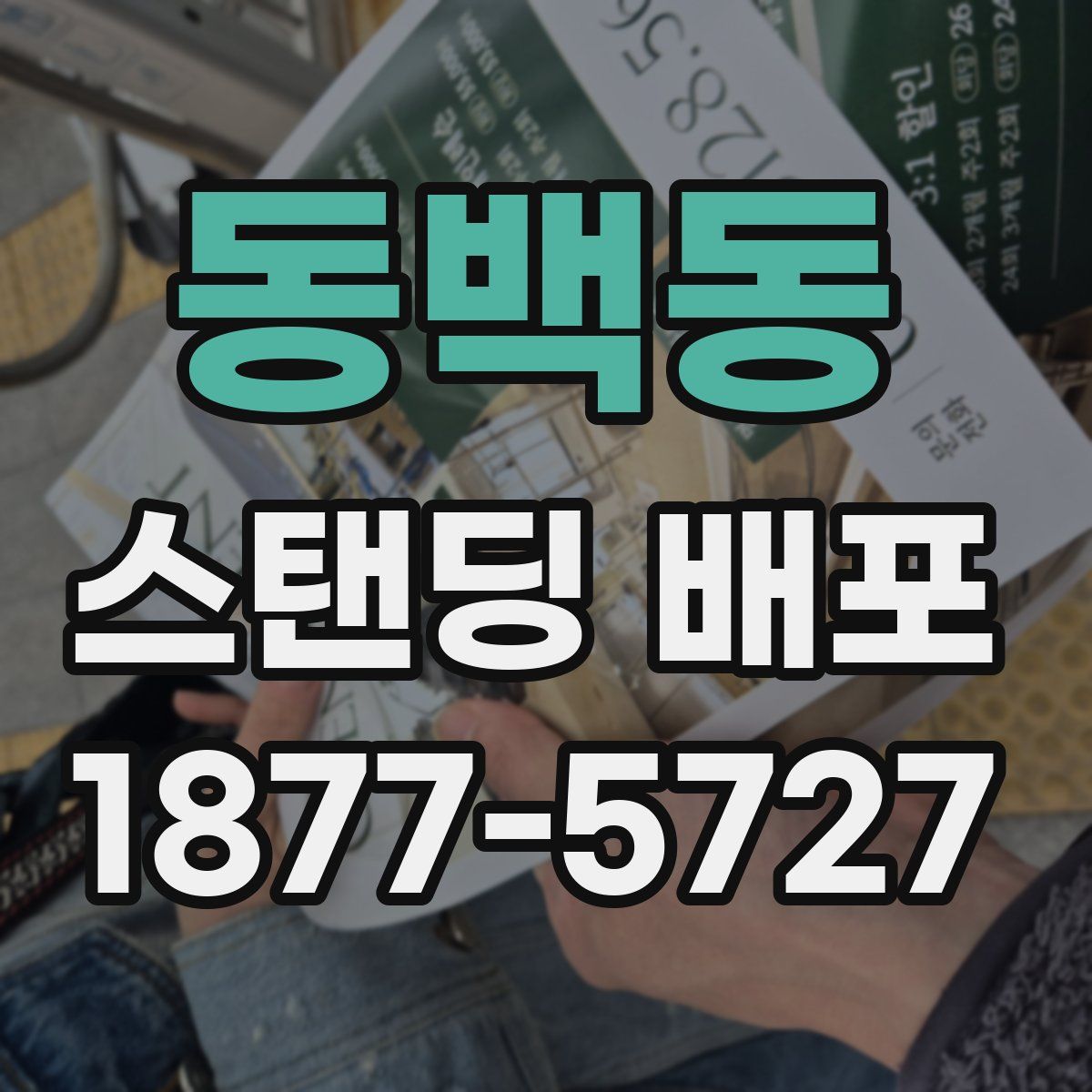 동백동 스탠딩 배포