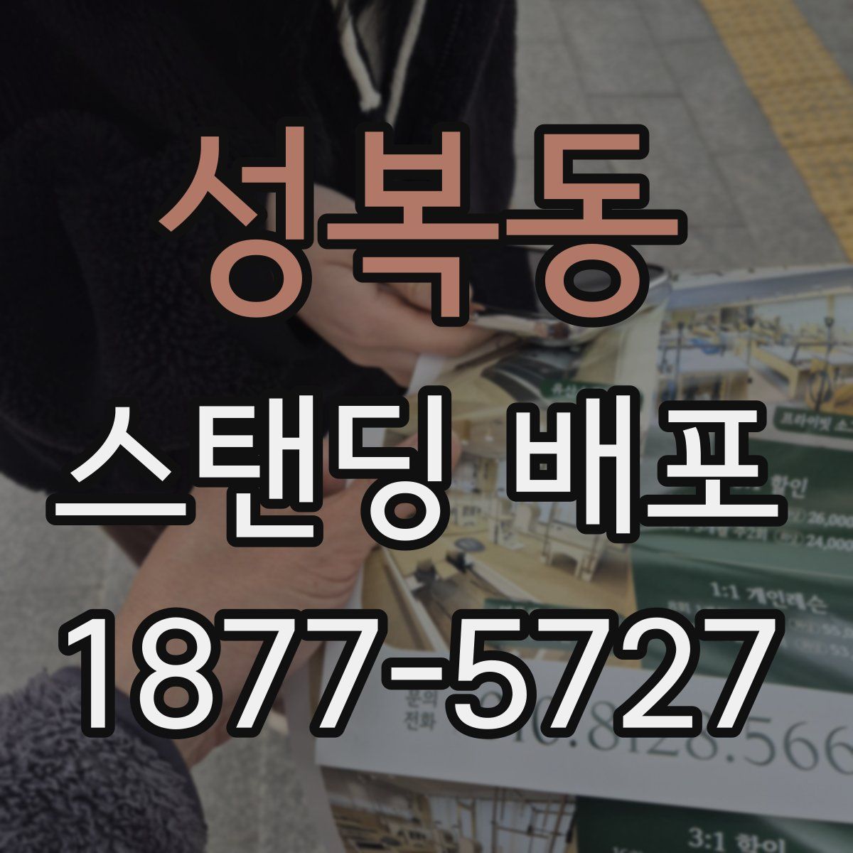 성복동 스탠딩 배포