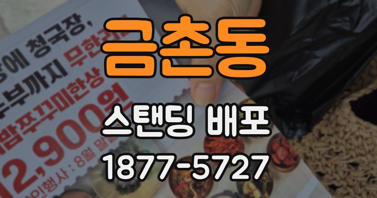 금촌동 스탠딩 배포