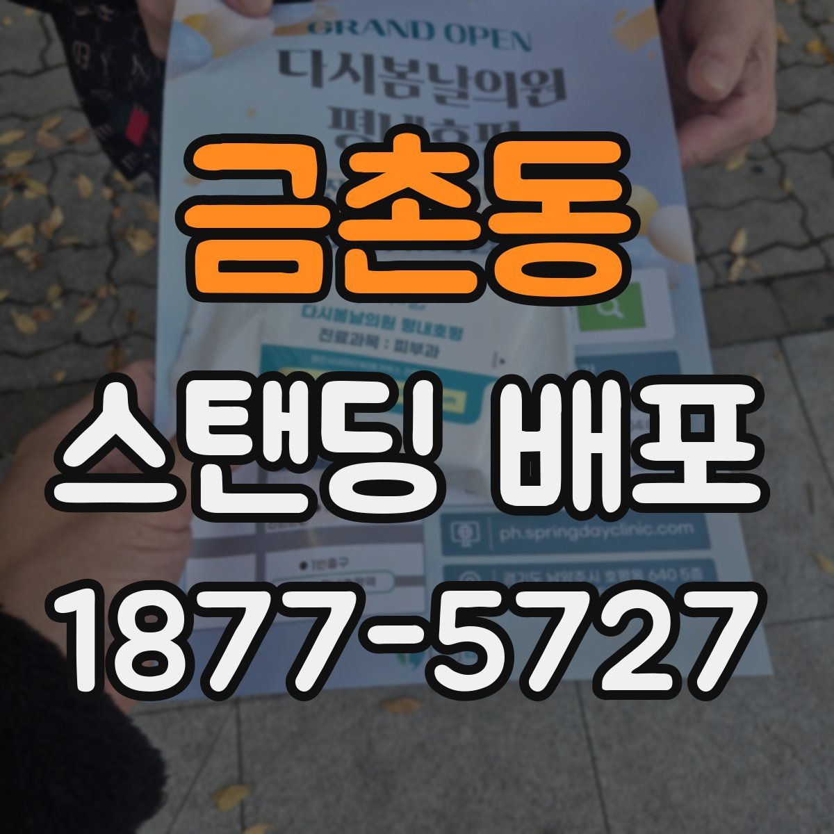 금촌동 스탠딩 배포