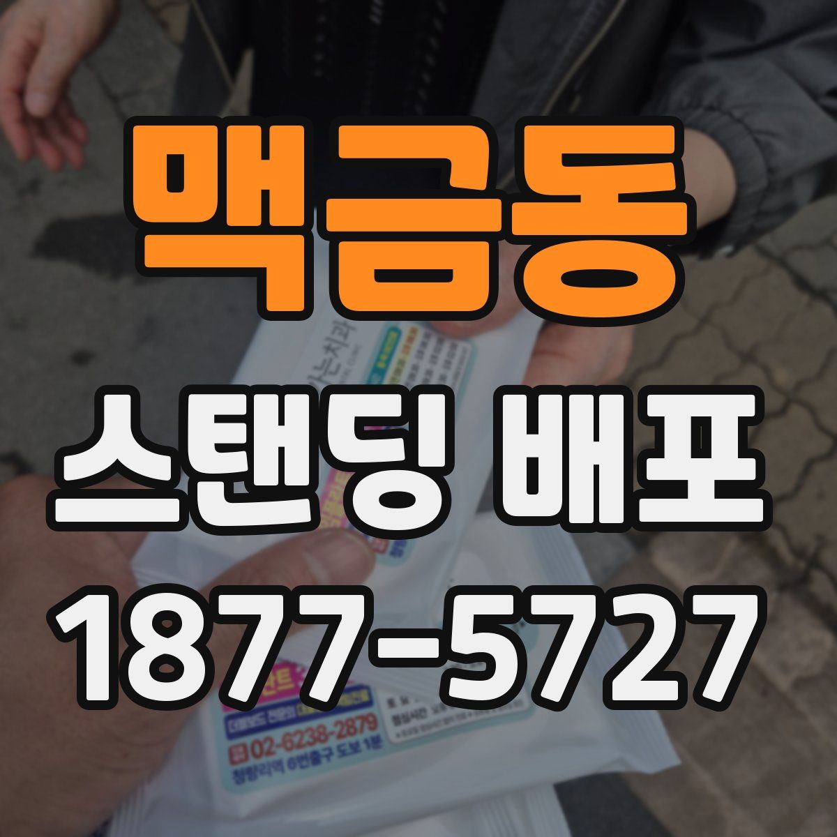 맥금동 스탠딩 배포