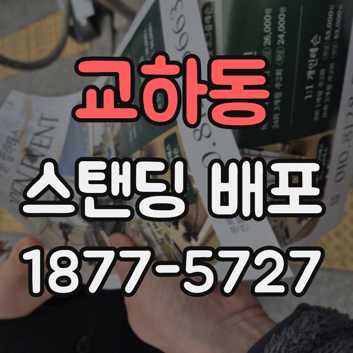 교하동 스탠딩 배포