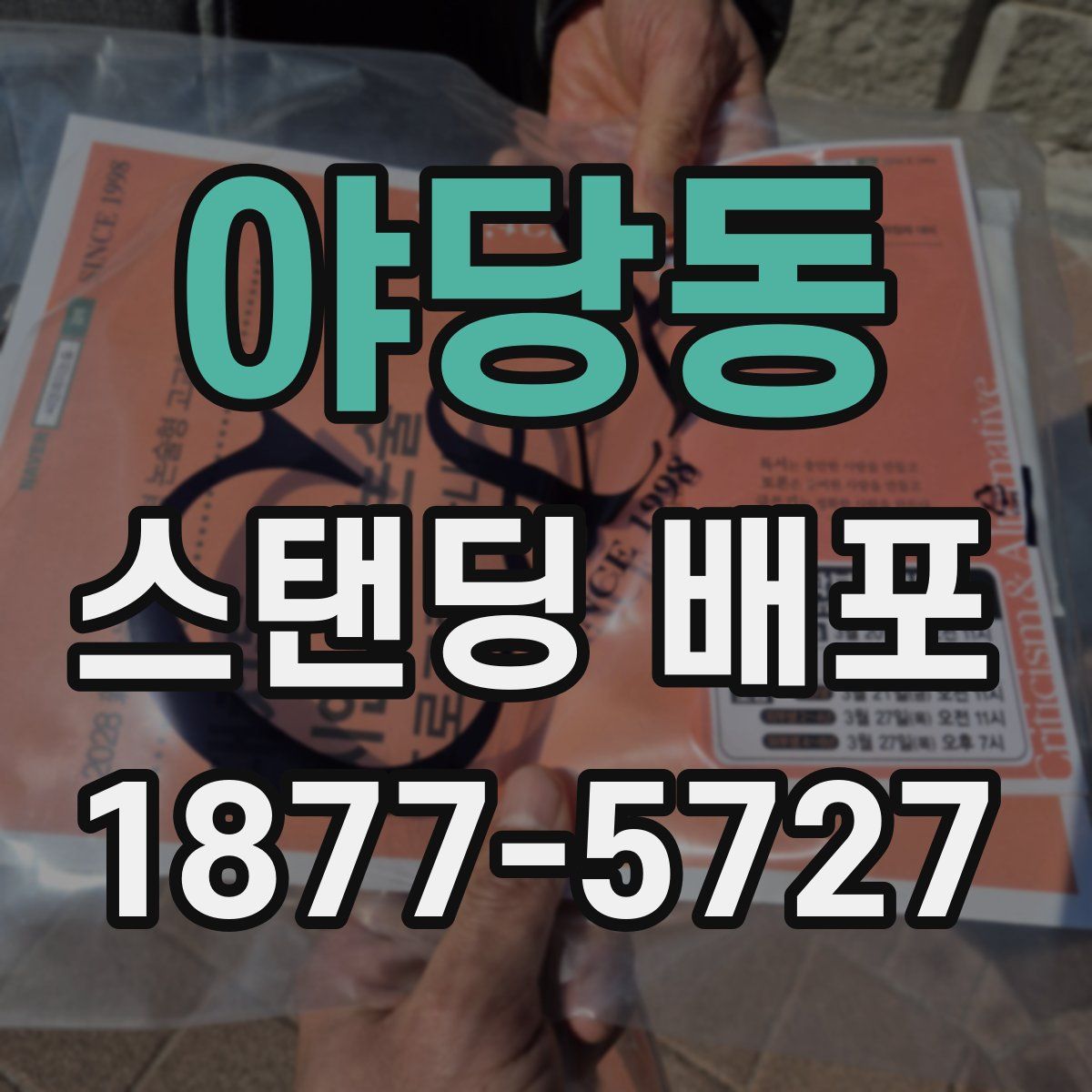 야당동 스탠딩 배포