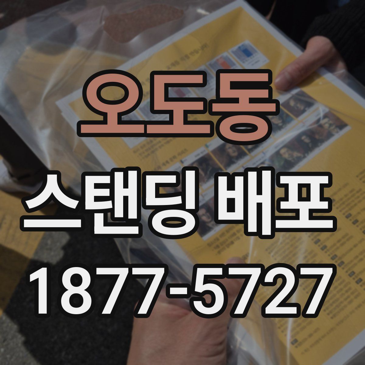 오도동 스탠딩 배포