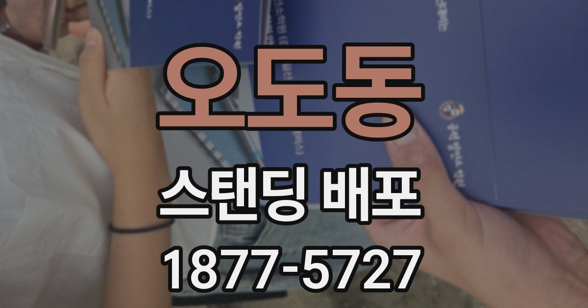 오도동 스탠딩 배포