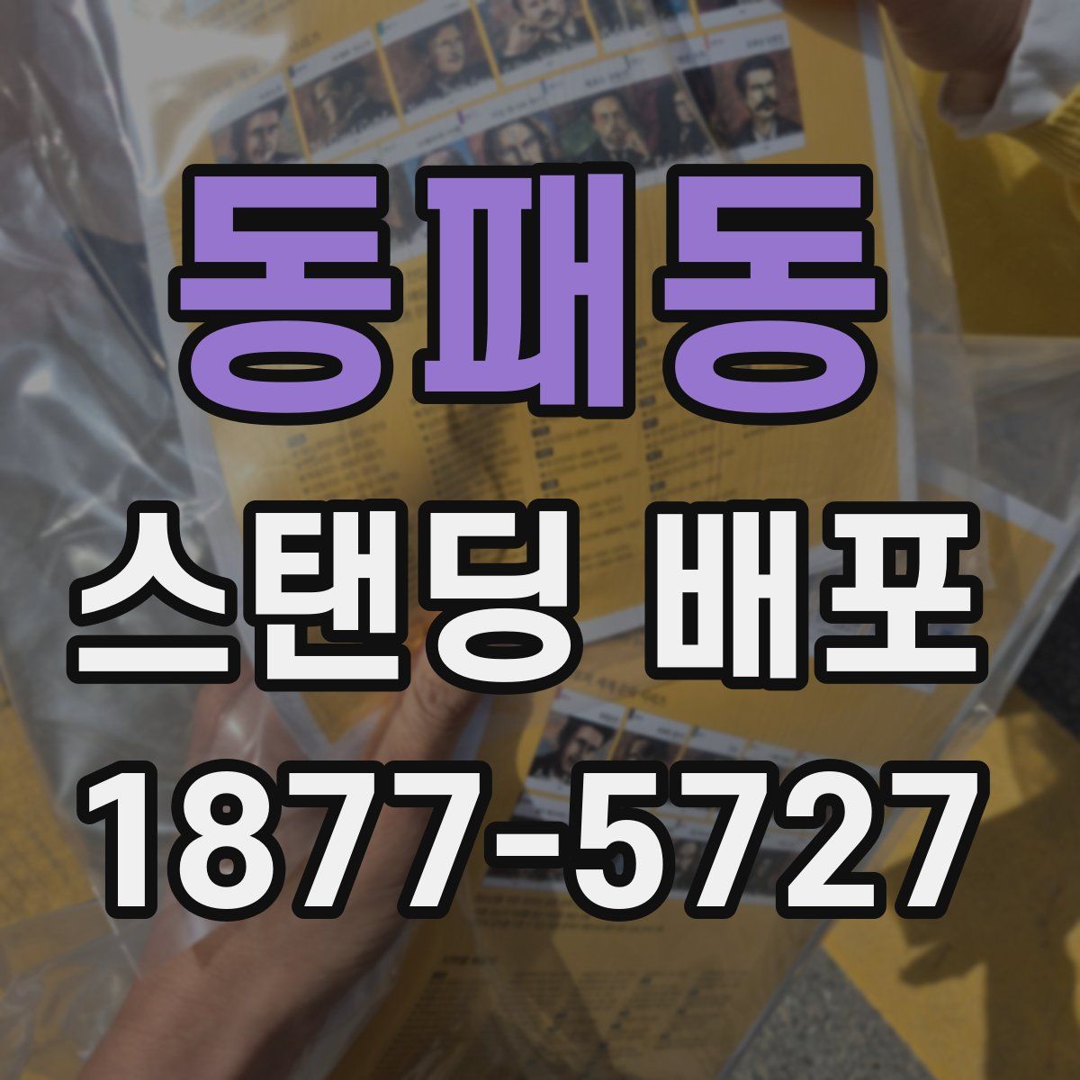 동패동 스탠딩 배포