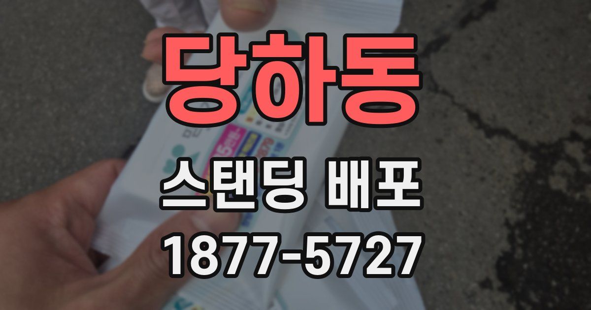 당하동 스탠딩 배포