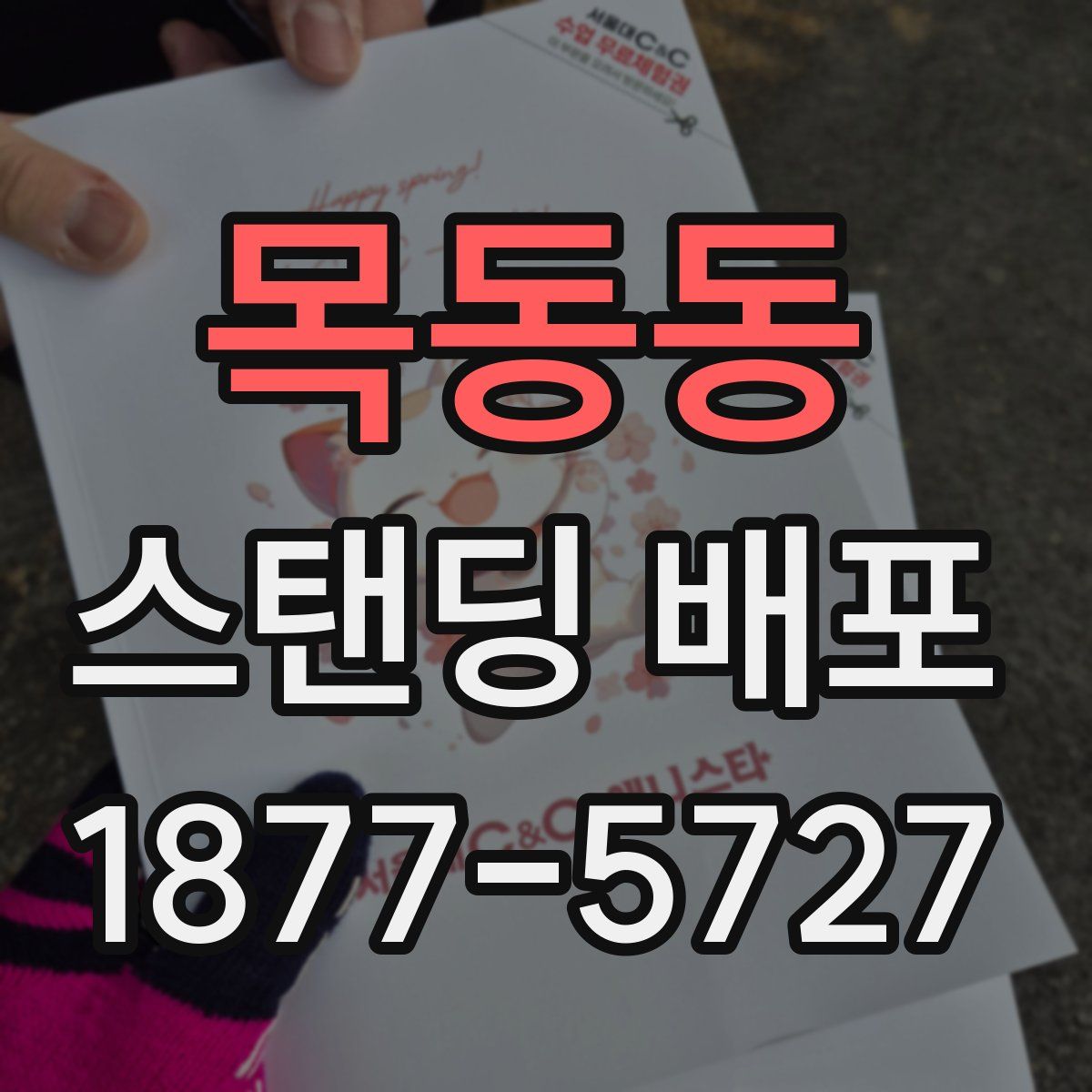 목동동 스탠딩 배포