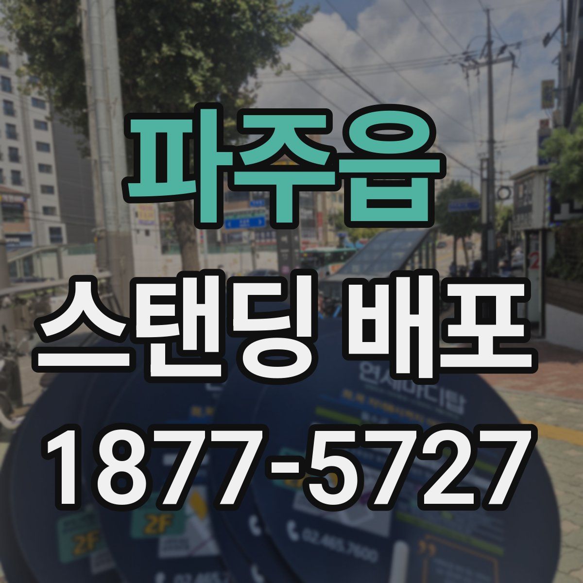 파주읍 스탠딩 배포