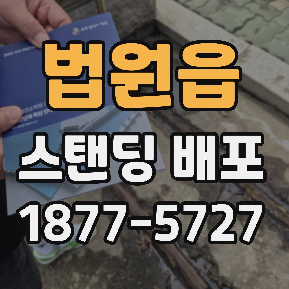 법원읍 스탠딩 배포