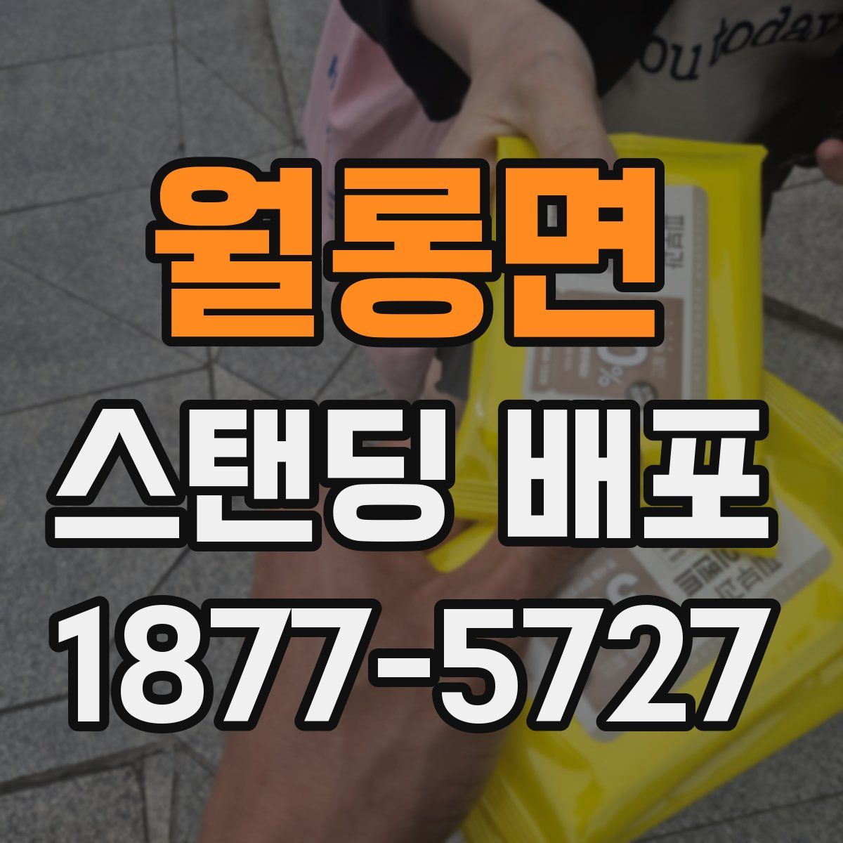 월롱면 스탠딩 배포