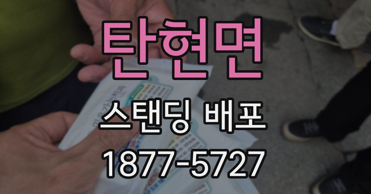 탄현면 스탠딩 배포