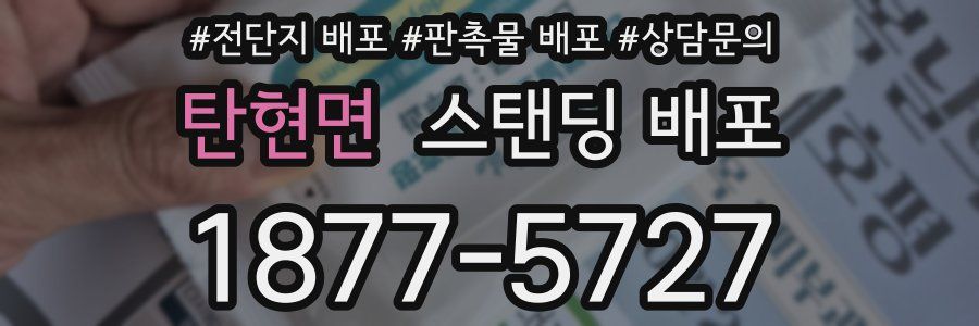 탄현면 스탠딩 배포