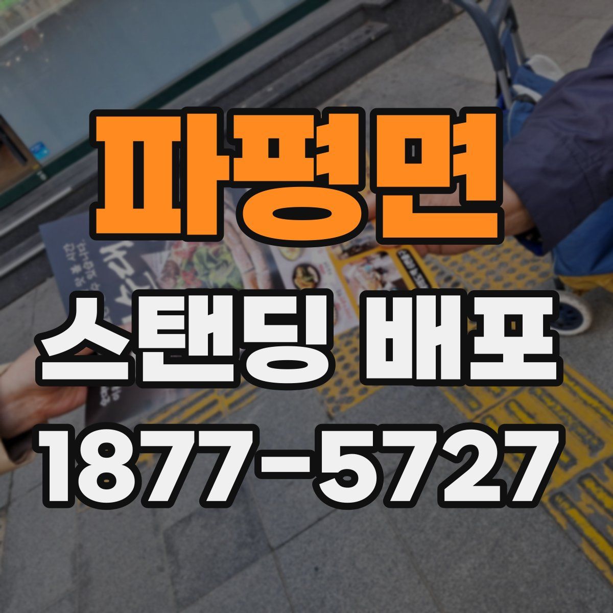 파평면 스탠딩 배포