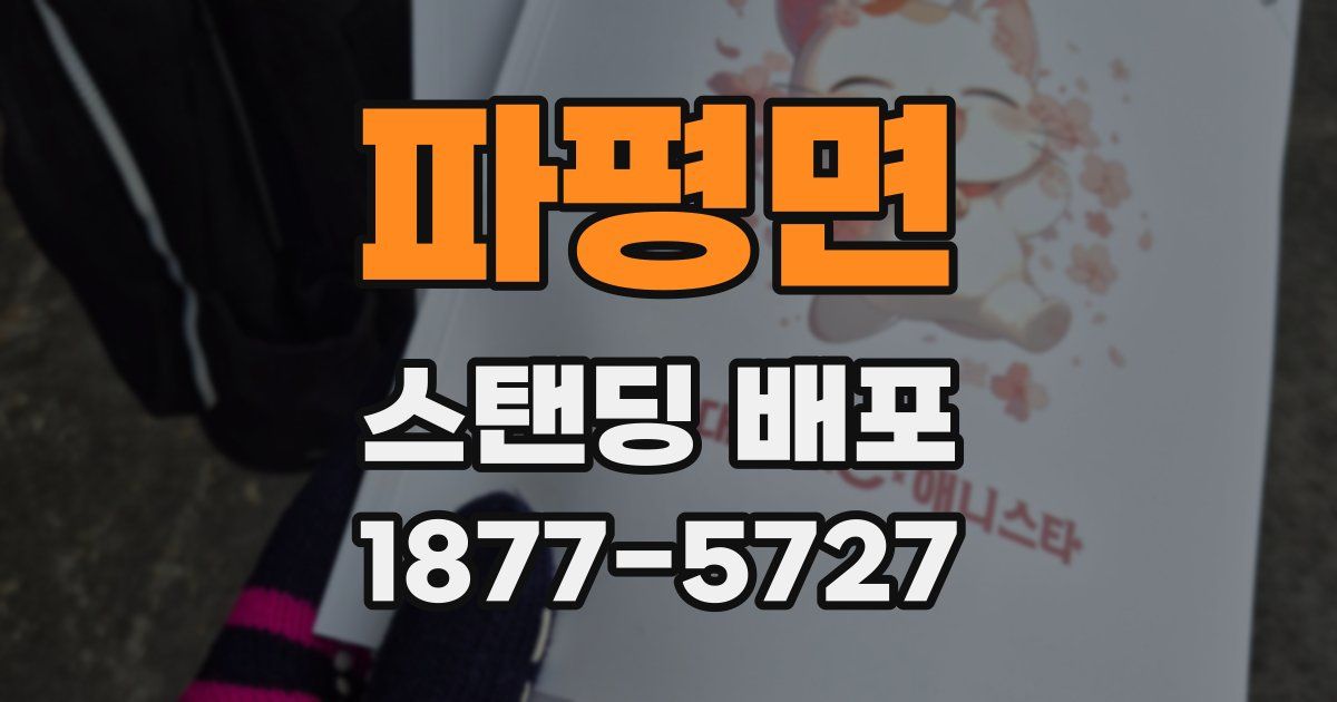 파평면 스탠딩 배포
