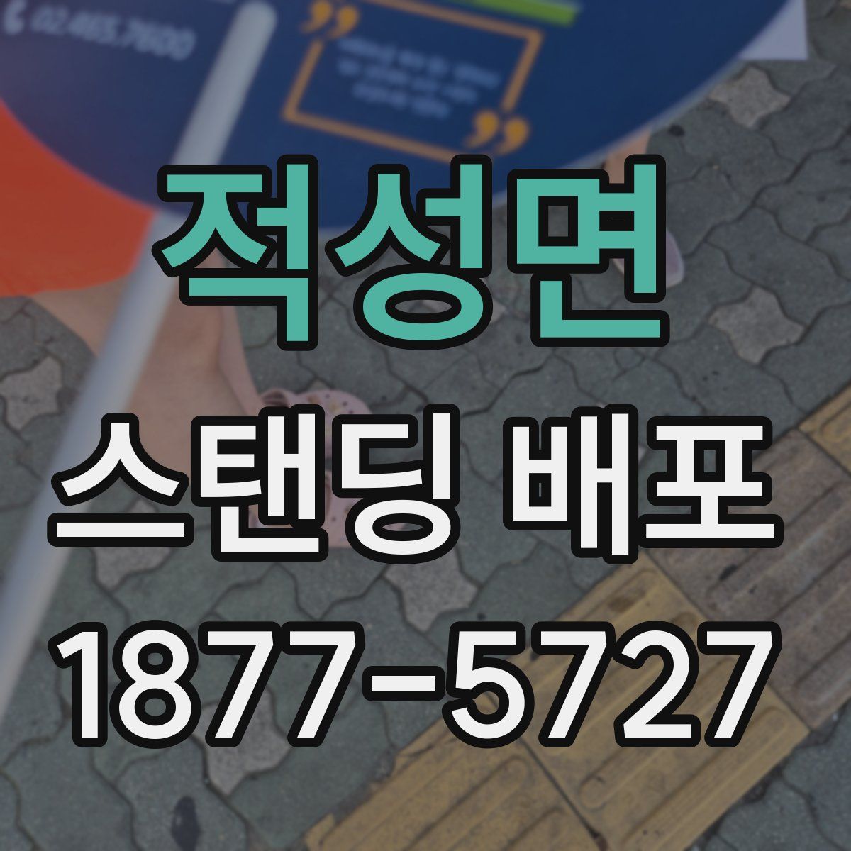 적성면 스탠딩 배포