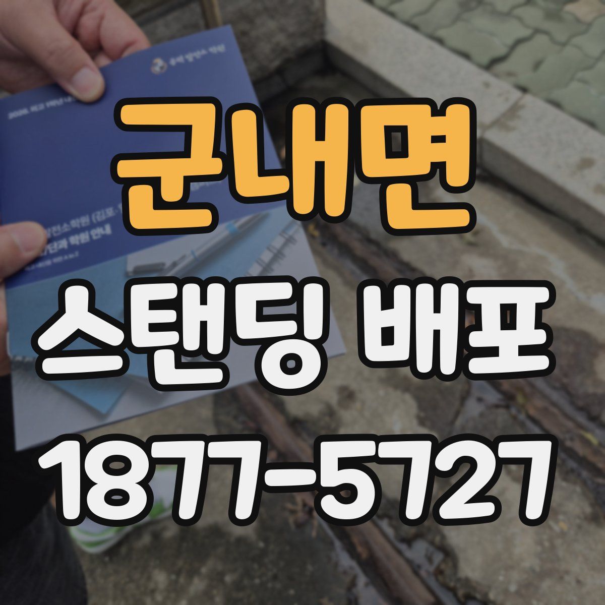 군내면 스탠딩 배포