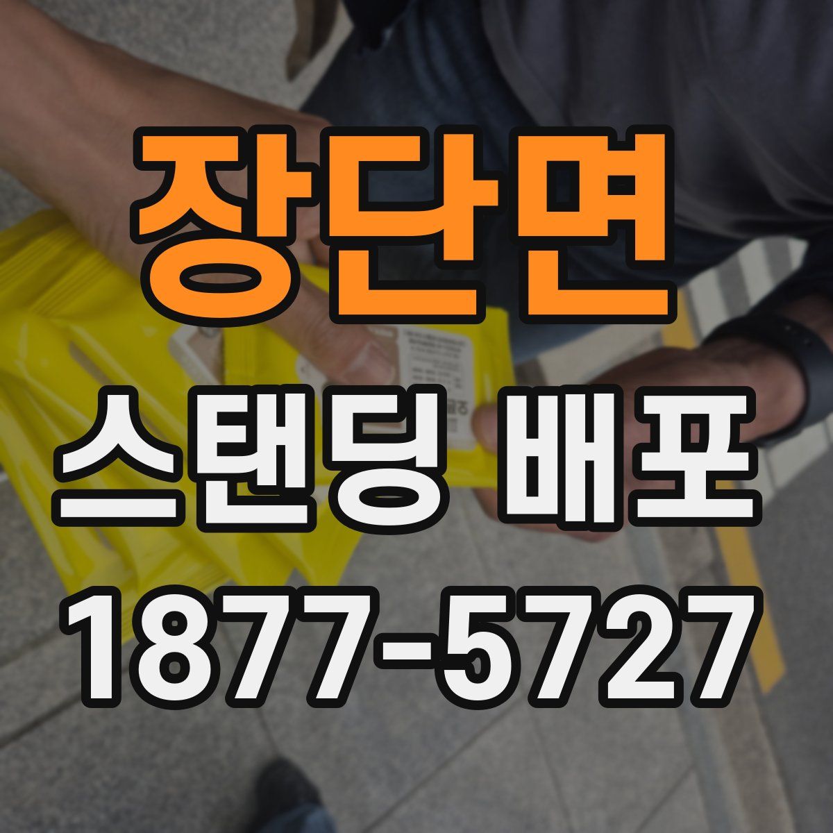 장단면 스탠딩 배포