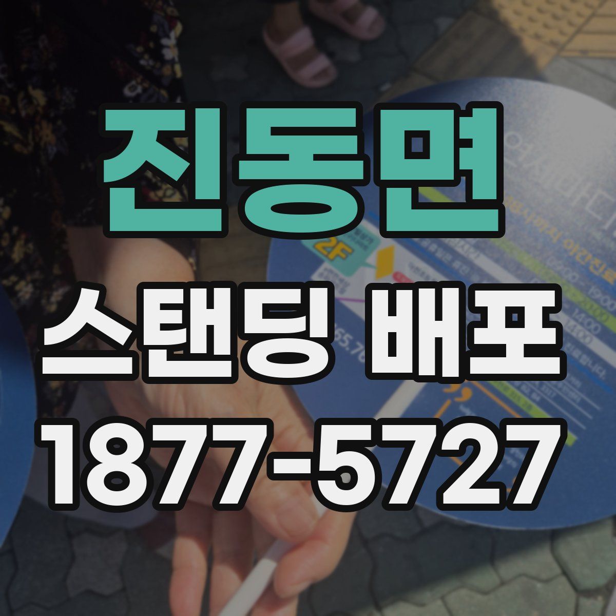 진동면 스탠딩 배포