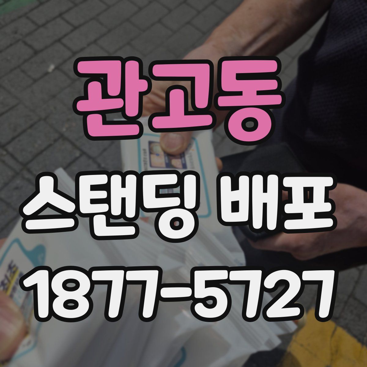 관고동 스탠딩 배포