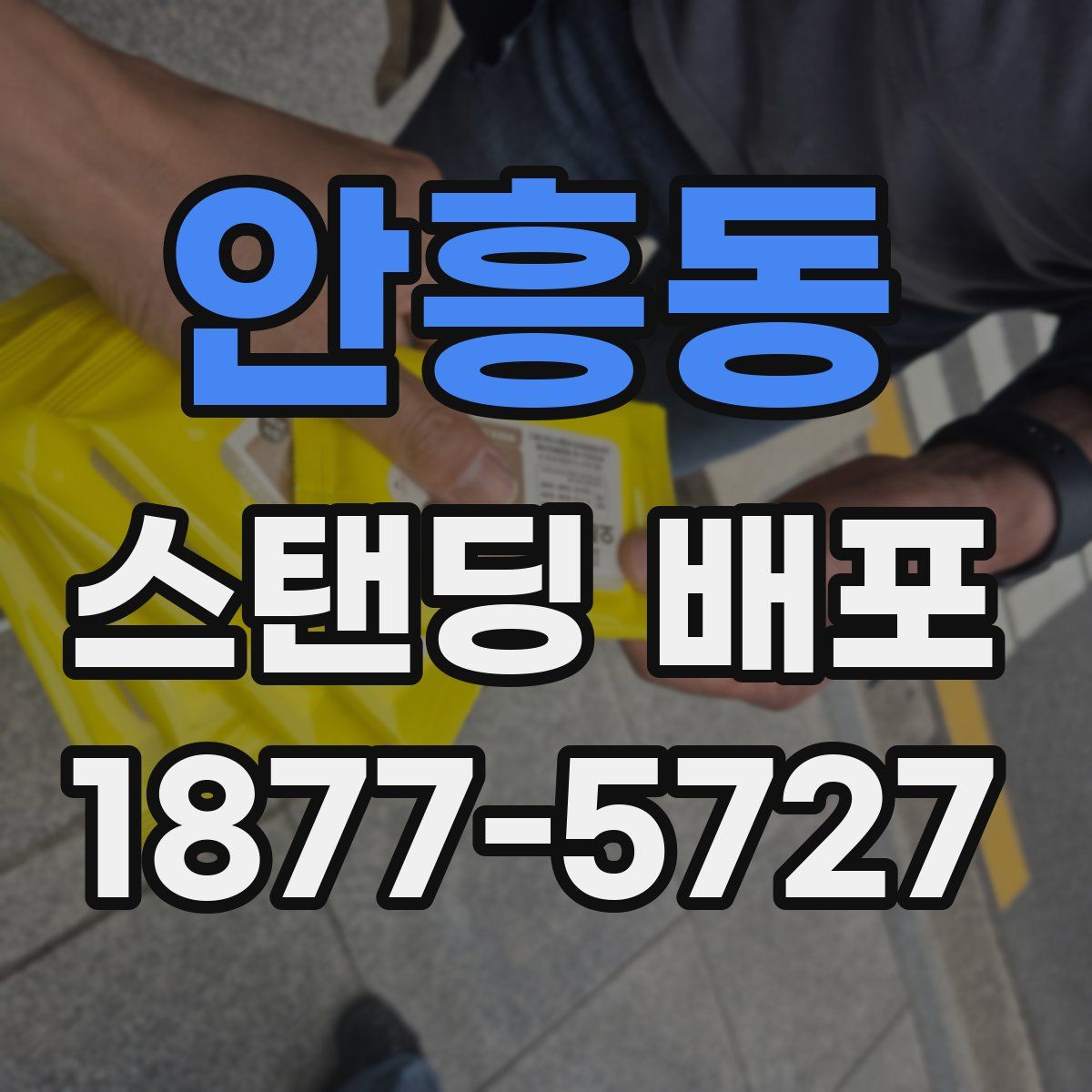 안흥동 스탠딩 배포