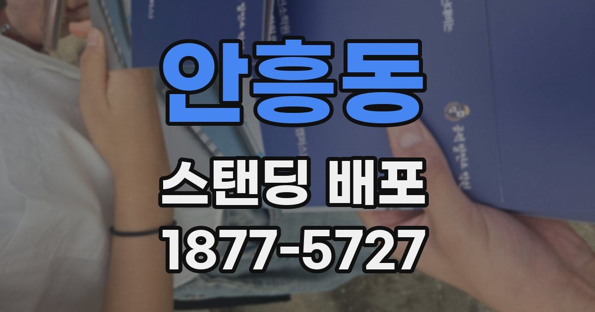 안흥동 스탠딩 배포