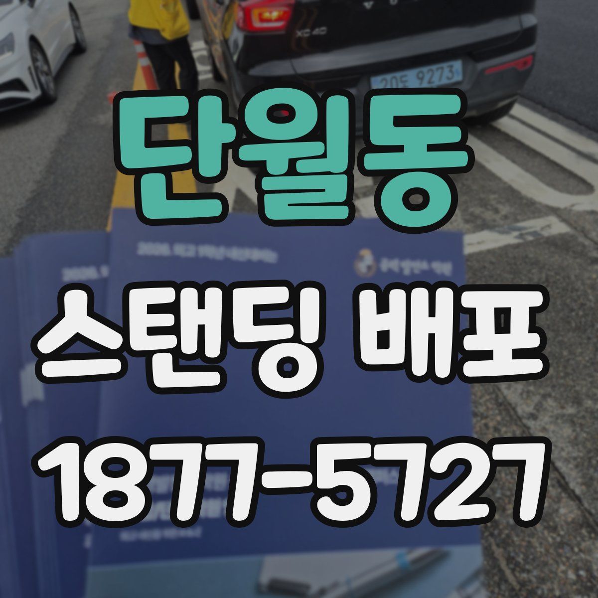 단월동 스탠딩 배포