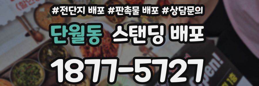 단월동 스탠딩 배포