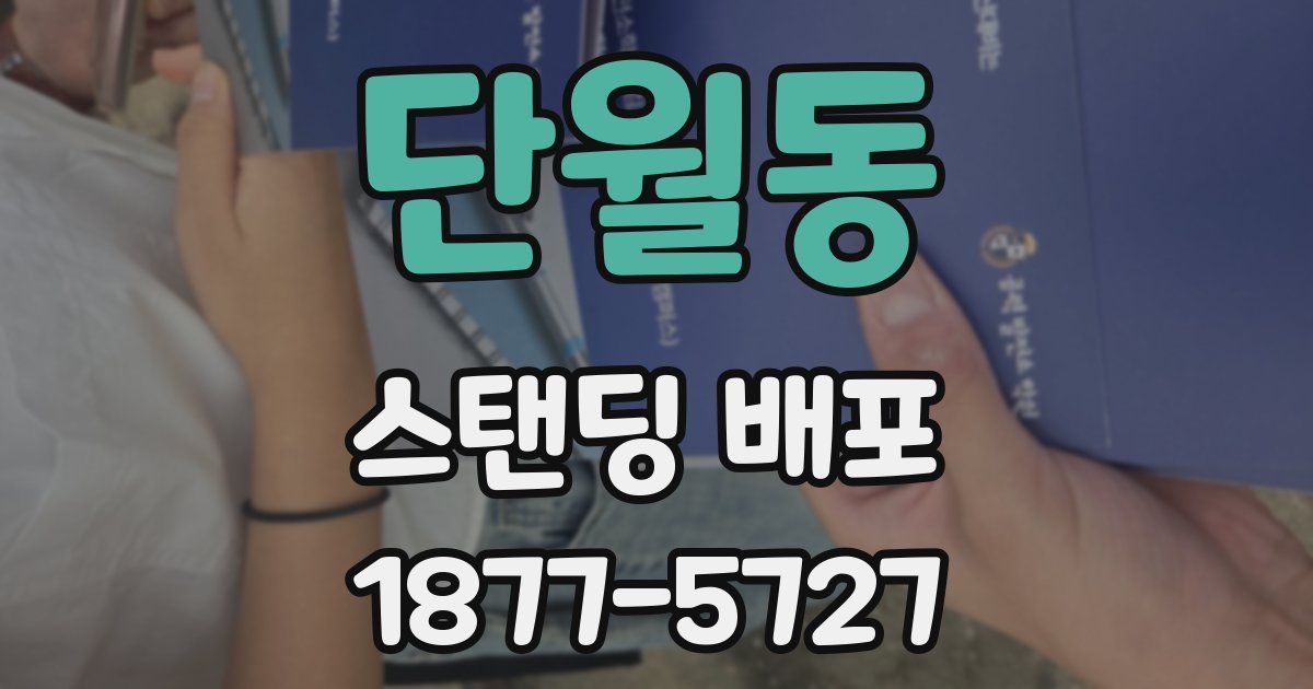 단월동 스탠딩 배포