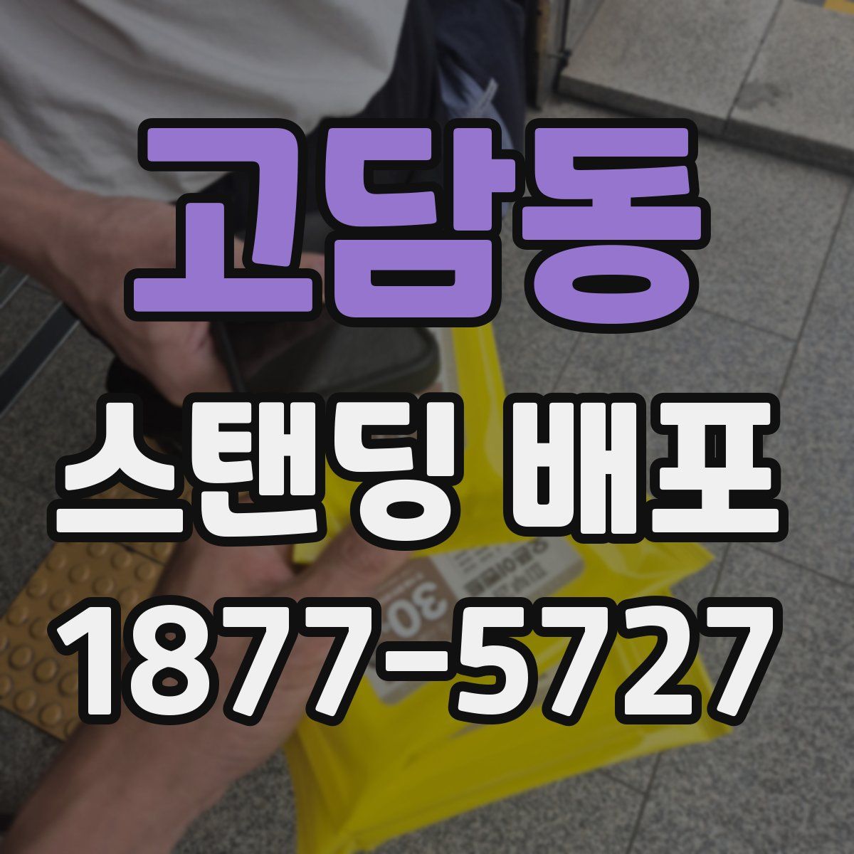 고담동 스탠딩 배포