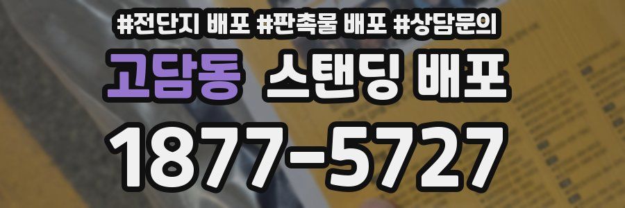 고담동 스탠딩 배포