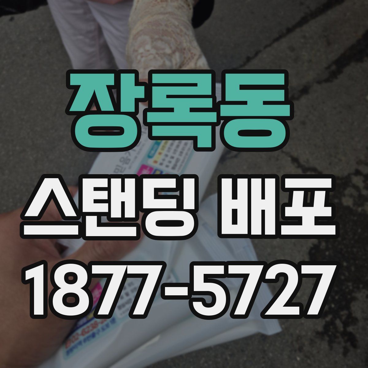 장록동 스탠딩 배포