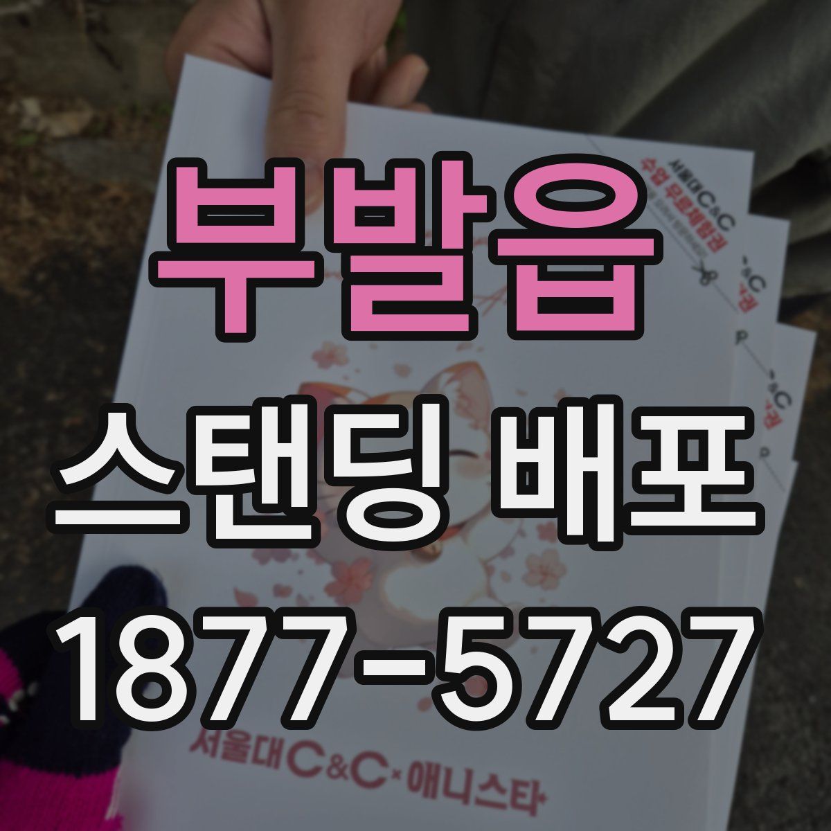 부발읍 스탠딩 배포