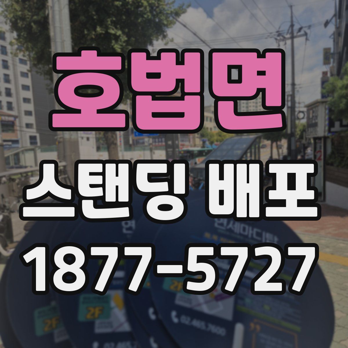 호법면 스탠딩 배포