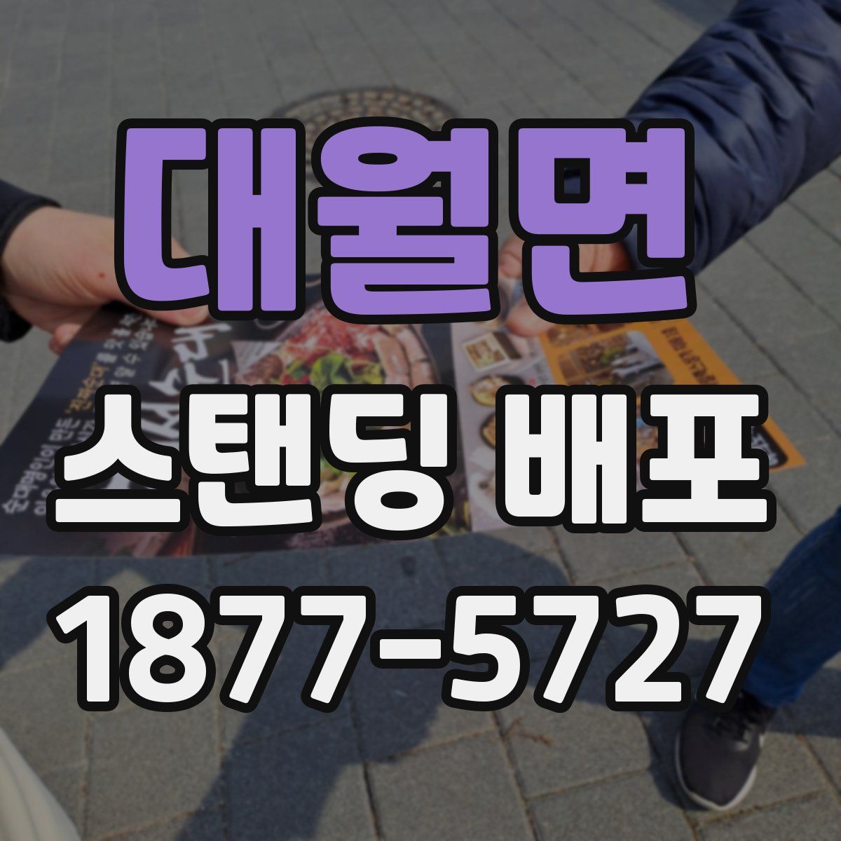 대월면 스탠딩 배포