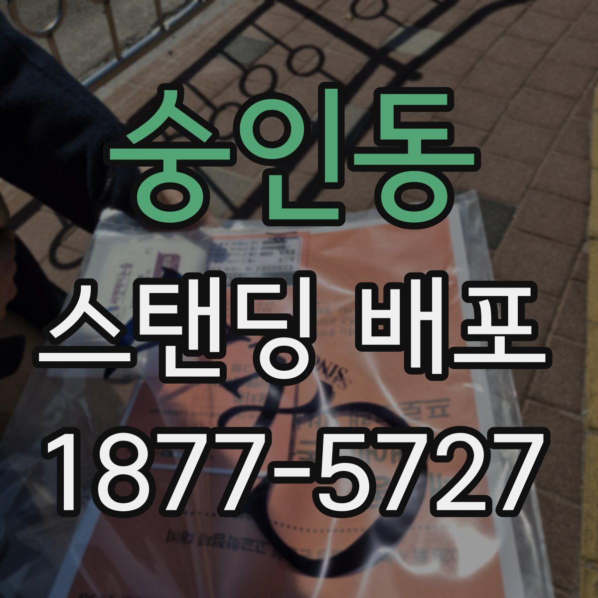 숭인동 스탠딩 배포