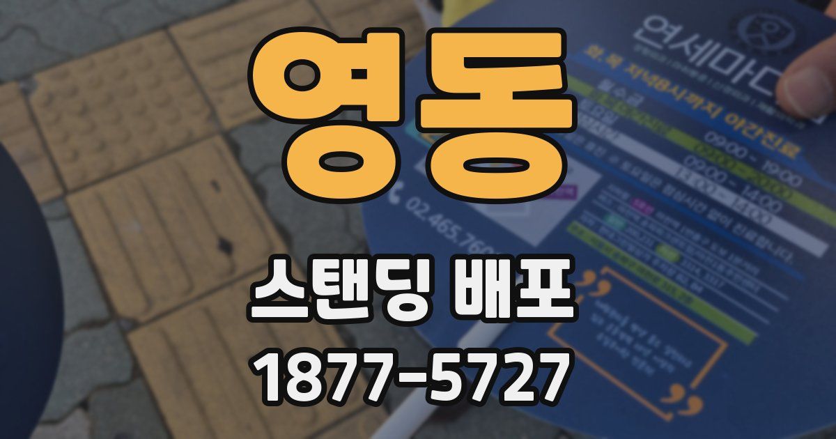영동 스탠딩 배포
