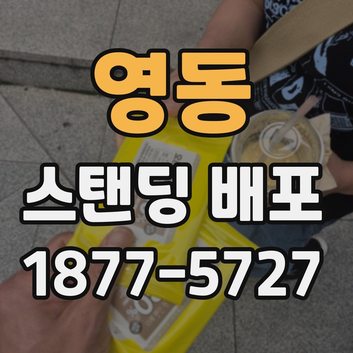 영동 스탠딩 배포