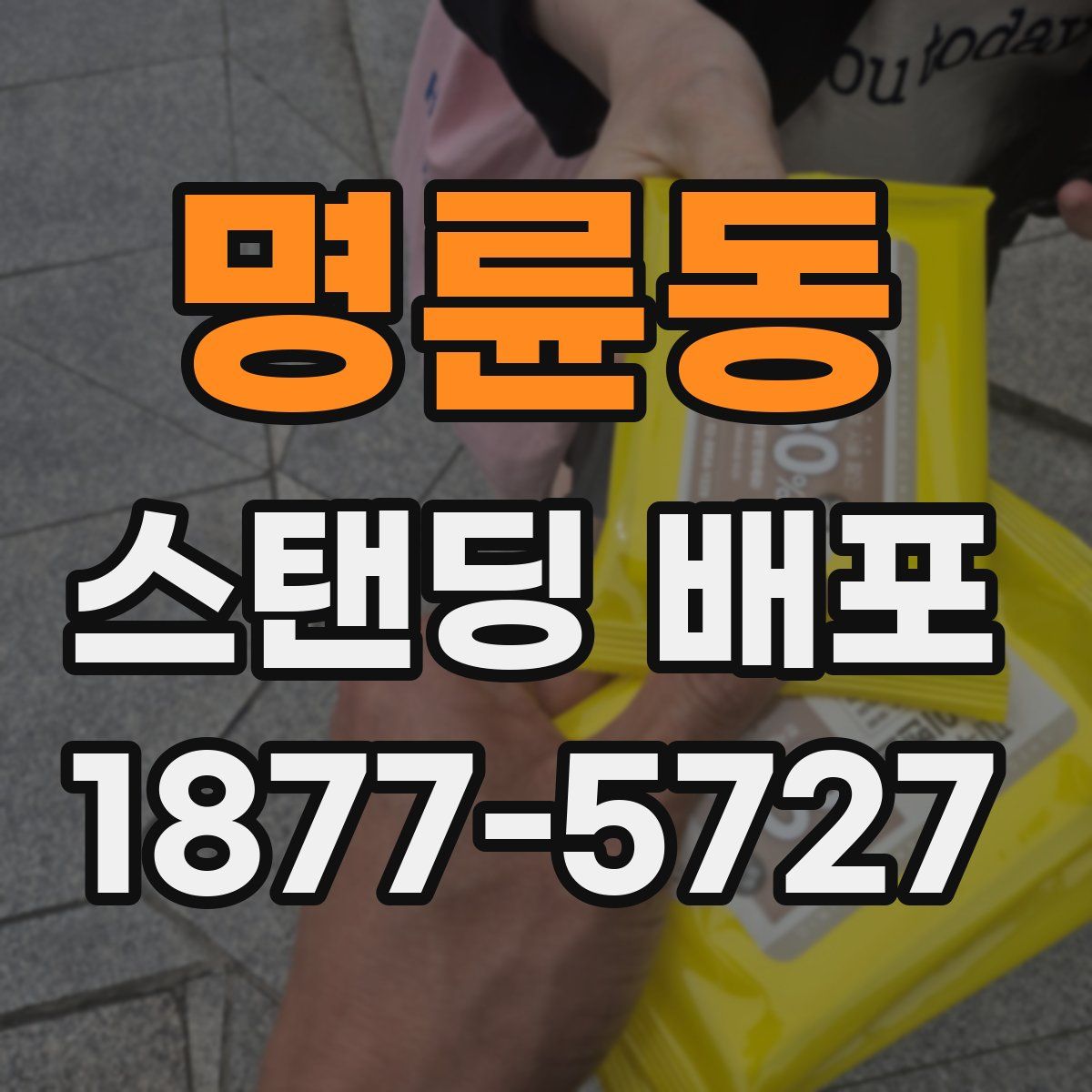 명륜동 스탠딩 배포