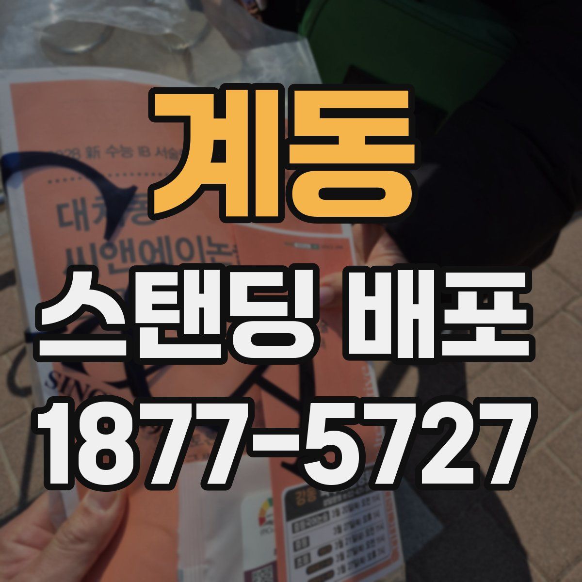 계동 스탠딩 배포