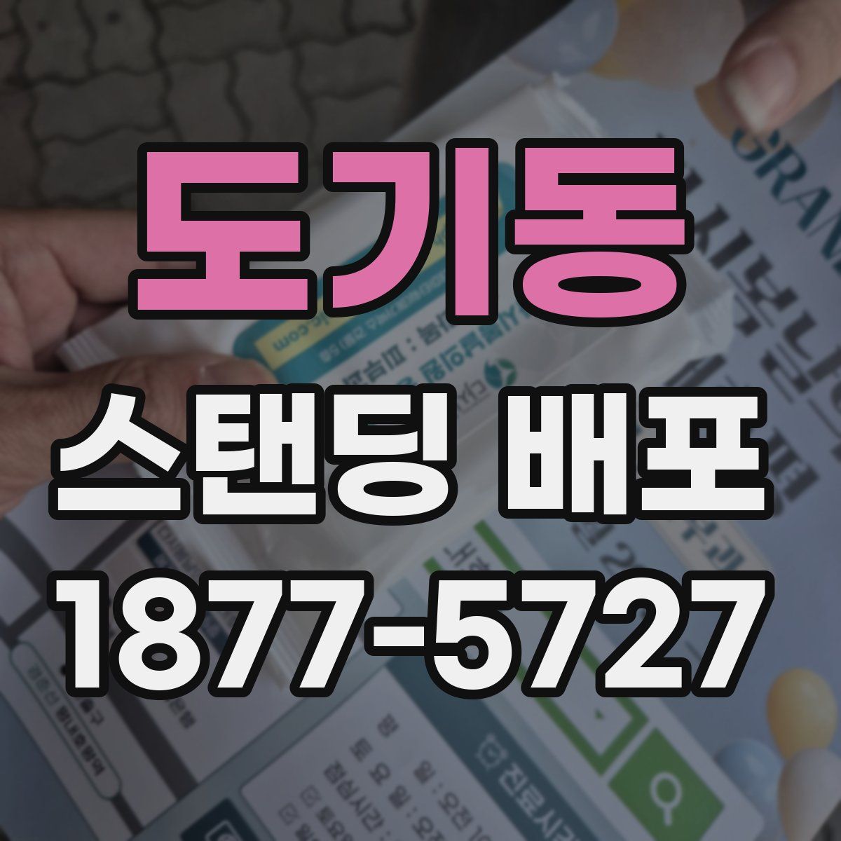 도기동 스탠딩 배포