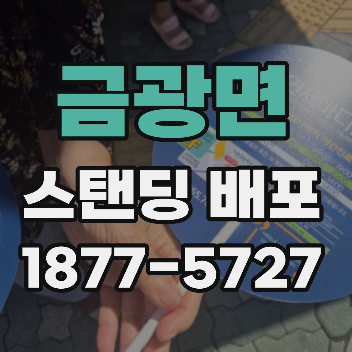 금광면 스탠딩 배포