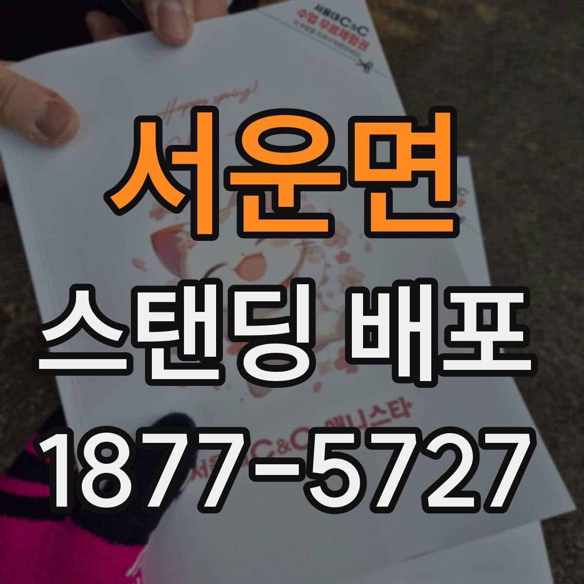 서운면 스탠딩 배포