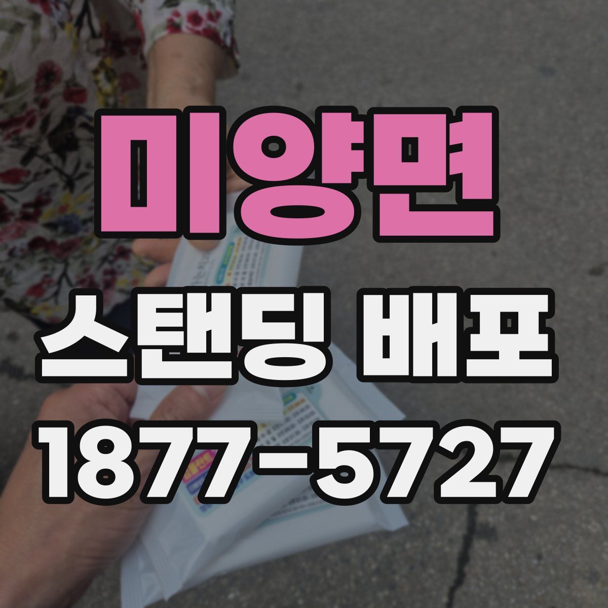 미양면 스탠딩 배포