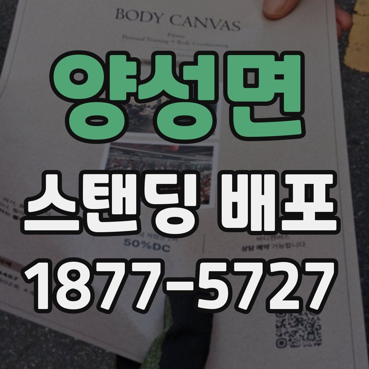 양성면 스탠딩 배포
