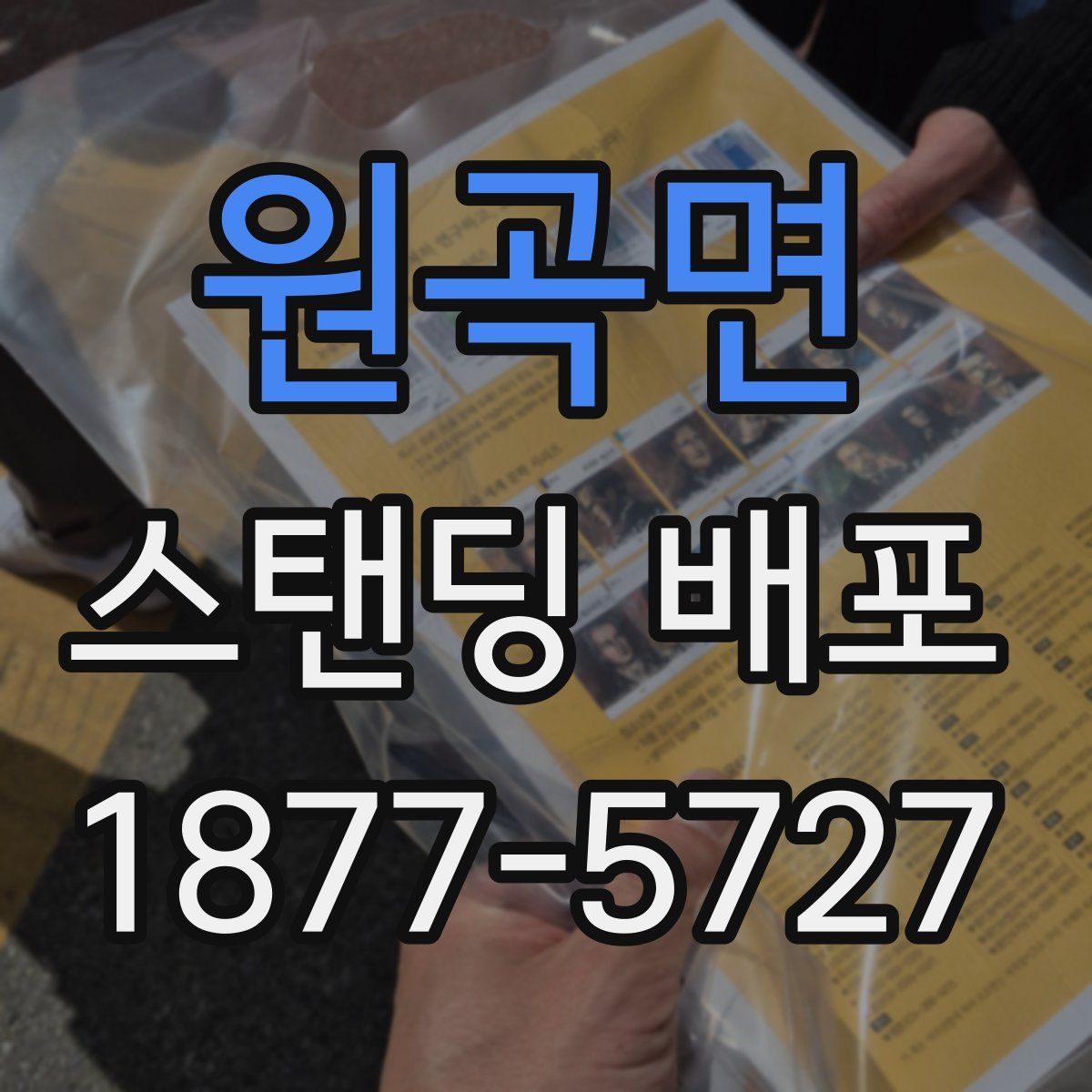 원곡면 스탠딩 배포