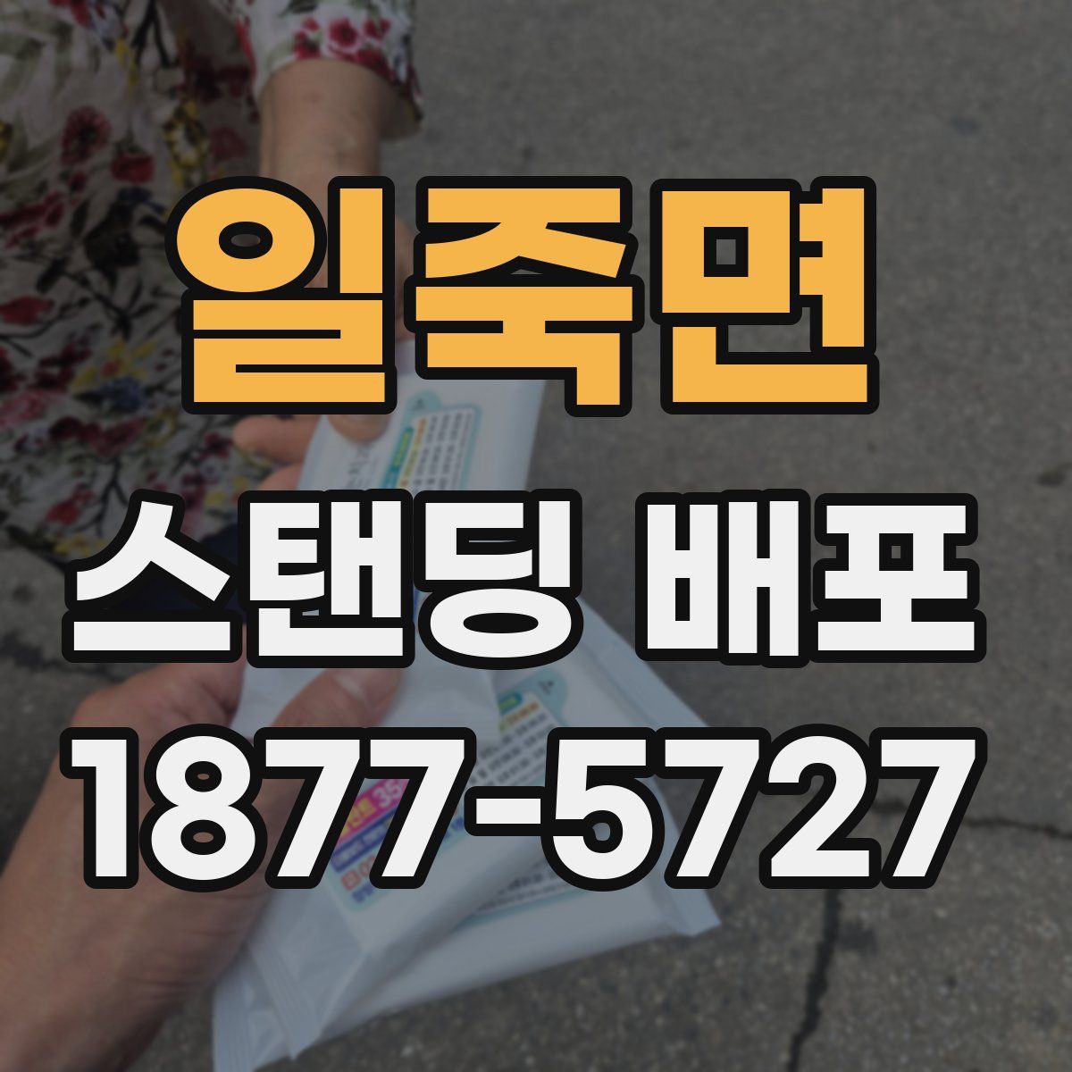 일죽면 스탠딩 배포