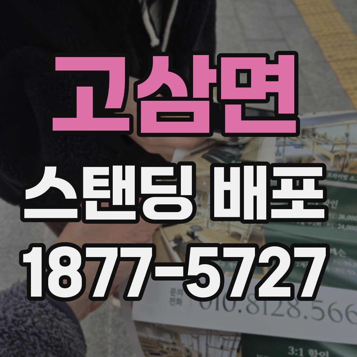 고삼면 스탠딩 배포